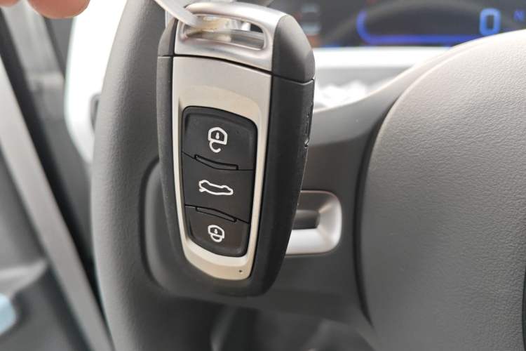 Used  Panda 2024 Panda Mini 200km Endurance Bear