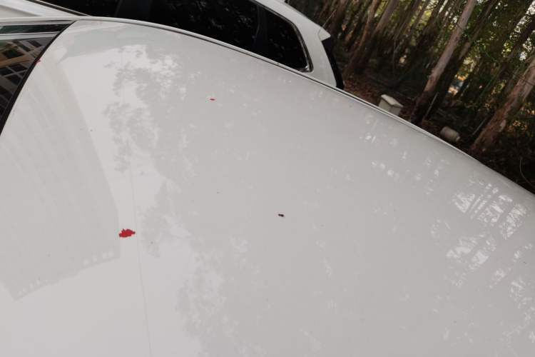 Used NETA V 2021 Long-Range Entertainment Edition Upgrade Model