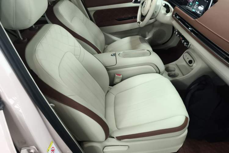 Used ORA Good Cat 2023 401 km Standard Range Luxury Version Lithium Iron Phosphate
