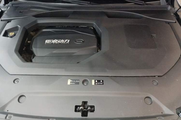 Used GAC Trumpchi GS8 2022 Flagship Series 2.0 TGDI Two-Wheel-Drive Prestige Edition (7 Seats)
