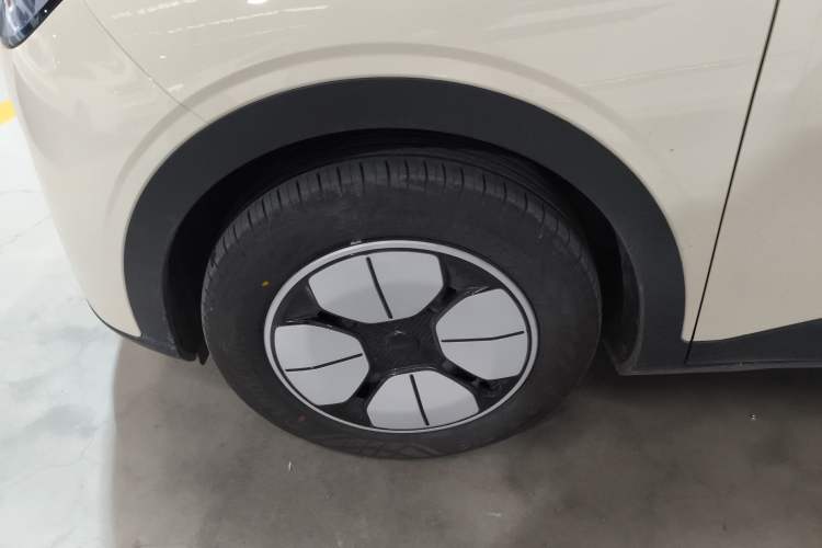 Used  Geome 2025 310km Youth Edition
