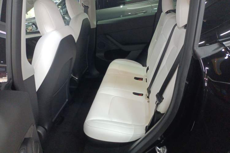 Used Tesla Model Y 2021 Standard Range Rear-Wheel Drive Version
