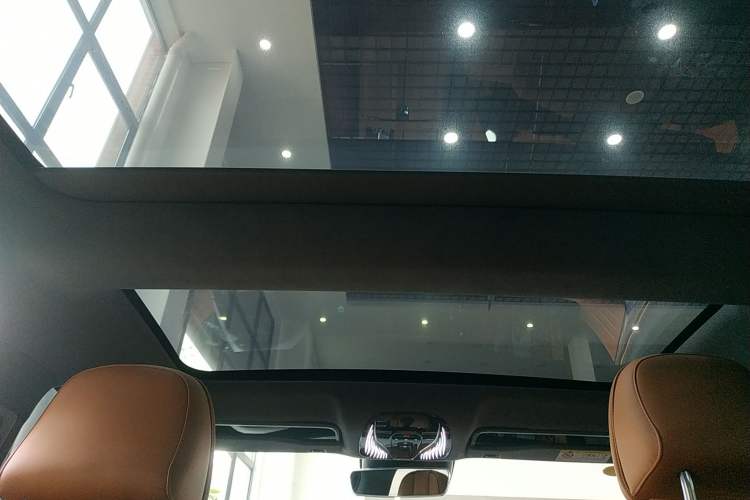 Used VOYAH PASSION 2023 Four-Wheel Drive Long-Range Version