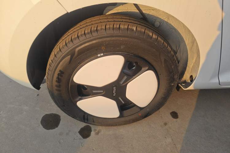 Used  Lumin 2025 205 km Xiangqin Version
