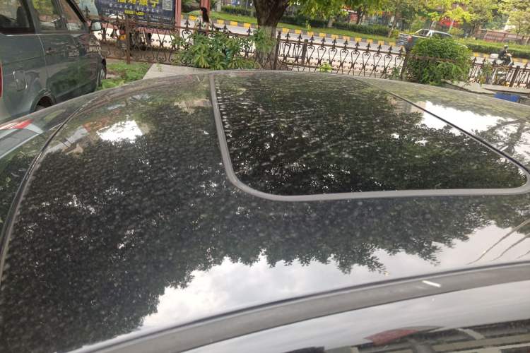 Used Nissan Sylphy 2019 1.6XV CVT Smart Connect Luxury Edition China VI Standard