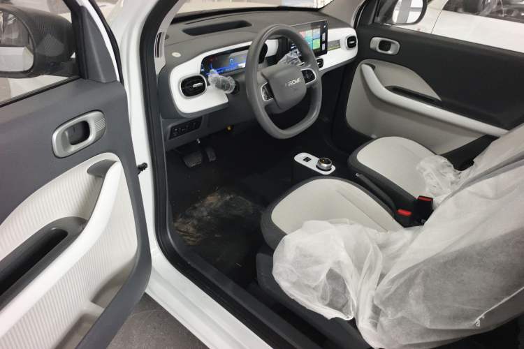 Used  Panda 2025 210 km – Yuanqi Bear
