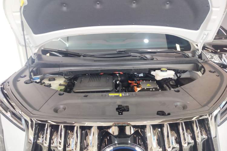 Used GAC Trumpchi E9 2023 E9 Master Model
