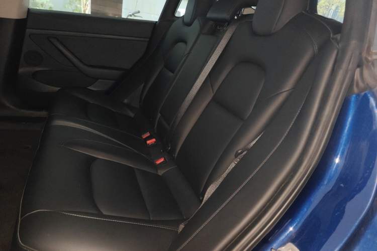 Used Tesla Model 3 2021 Standard Range Rear-Drive Upgraded Version