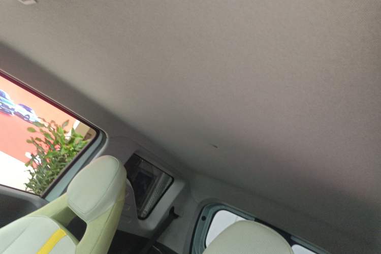 Used  Panda 2025 210km Panda Rider