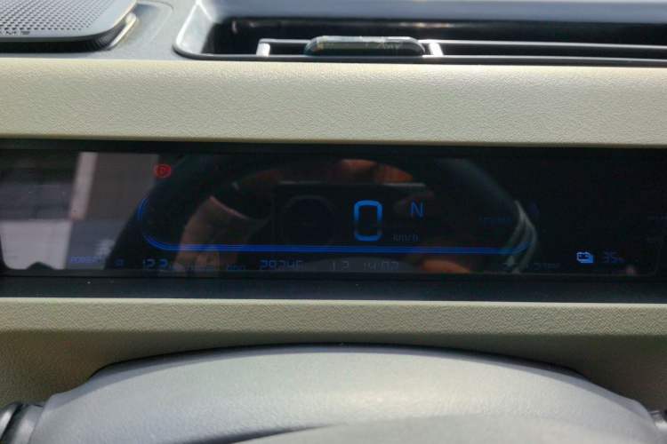 Used  Panda 2024 200km Panda Rider