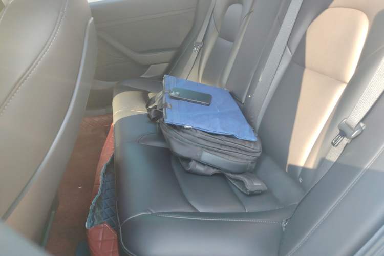 Used Tesla Model 3 2020 Standard Range Rear-Wheel Drive Upgraded Version
