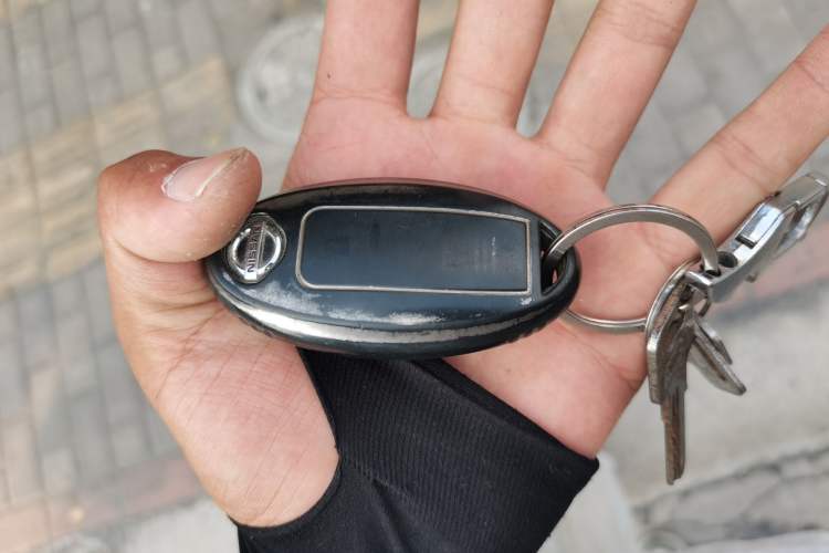 Used Nissan Qashqai 2019 2.0L CVT Luxury Edition