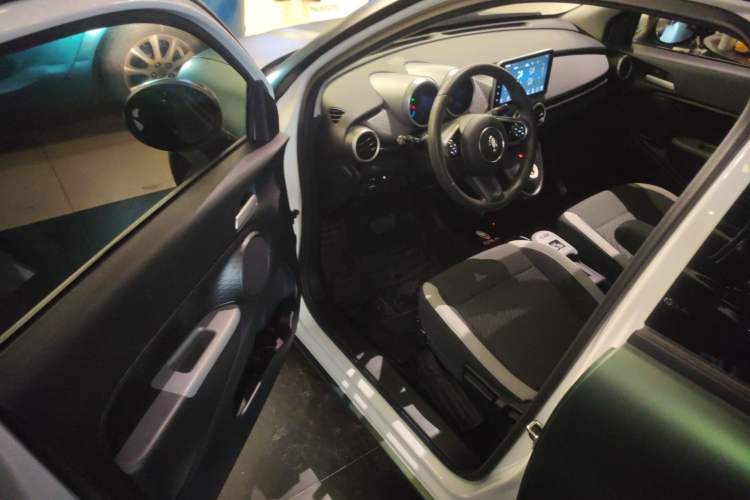 Used ORA Black Cat 2022 Updated Version 301 km Cute Pet Edition Lithium Iron Phosphate