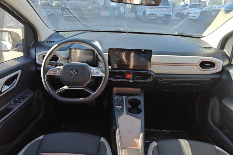 Used SOL E10X 2022 Flower Fairy Design Four-Leaf Clover