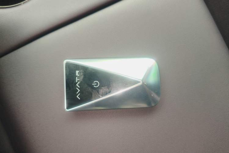 Used  06 2025 Max Extended-Range Edition
