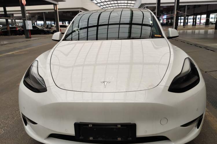 Used Tesla Model Y 2021 Standard Range Rear-Wheel Drive Version
