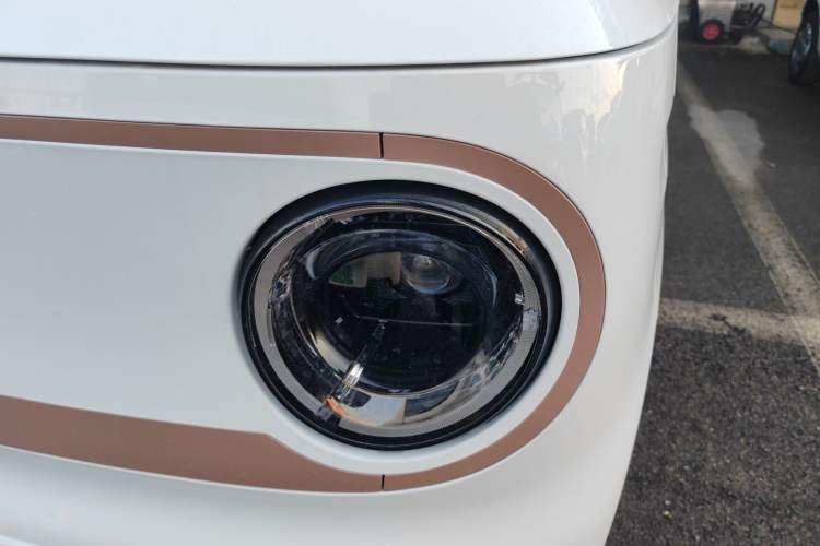 Used  Panda 2024 Panda Mini 200km Endurance Bear
