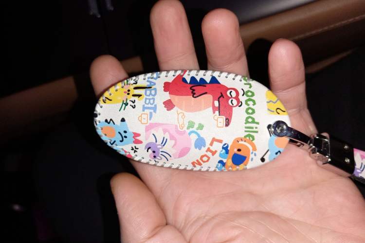 Used  R7 2024 Advanced Edition
