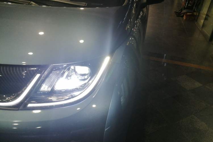 Used BYD Dolphin 2024 Honor Edition 420km Freedom Version
