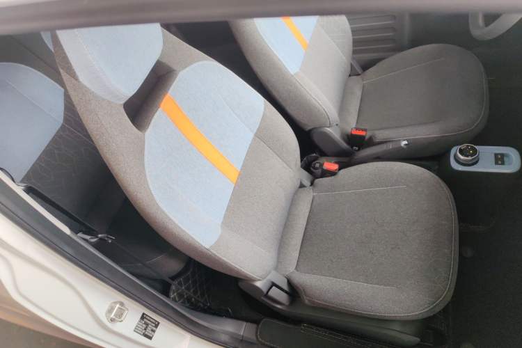 Used  Panda 2024 Panda Mini 200km Endurance Bear
