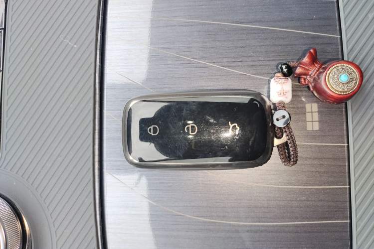 Used  E5 2024 530km Starship Edition