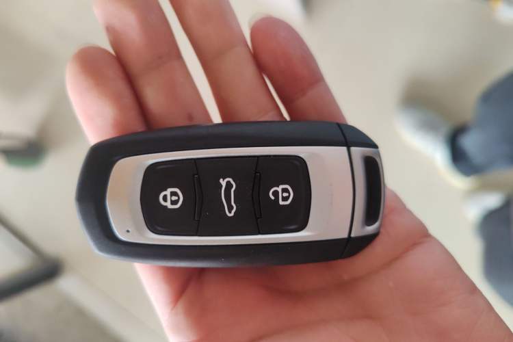 Used  Panda 2024 Panda Mini 200km Endurance Bear
