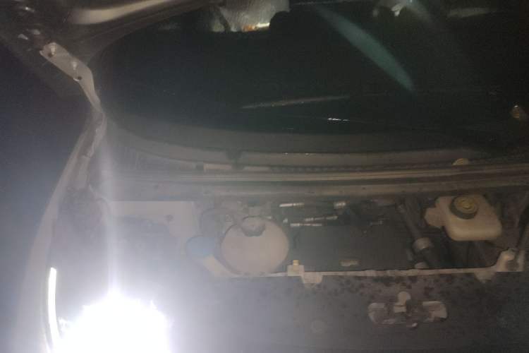 Used BYD Dolphin 2021 405 km Free Version
