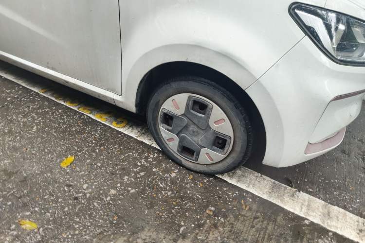 Used SOL E10X 2022 Flower Fairy Design Four-Leaf Clover
