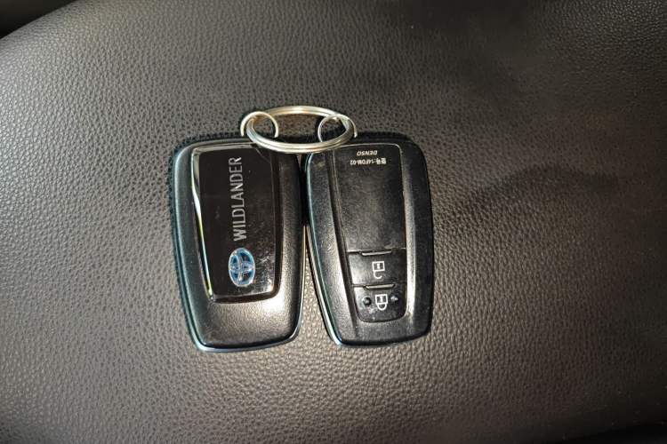 Used Toyota Wildlander 2020 Dual-Motor 2.5L E-CVT Four-Wheel Drive Luxury Edition
