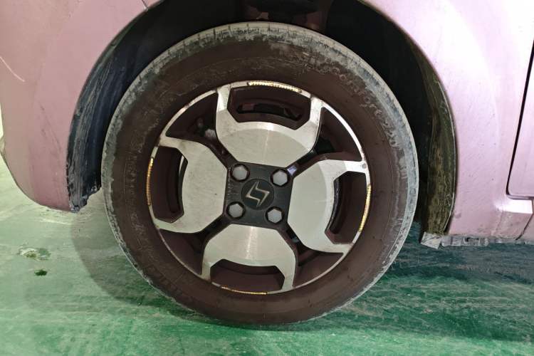 Used SOL E10X 2022 Flower Fairy Style Baby's Breath