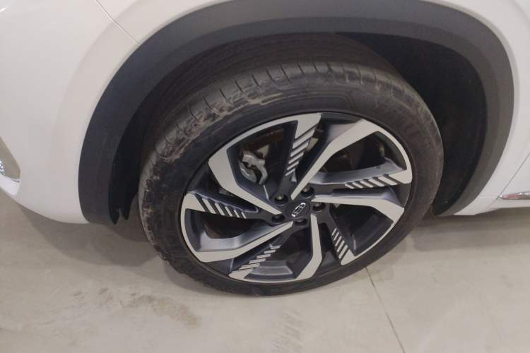 Used Geely Auto Monjaro L 2024 2.0TD High-Power Automatic Two-Wheel Drive Skyline Edition
