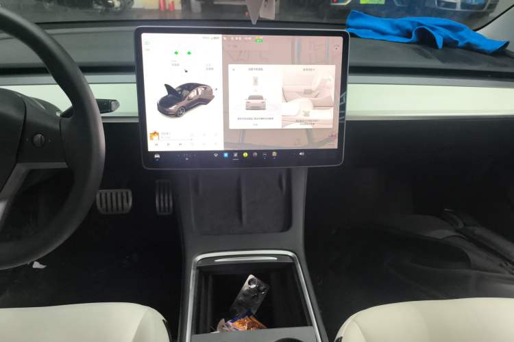 Used Tesla Model 3 2021 Performance High-Performance All-Wheel-Drive Version
