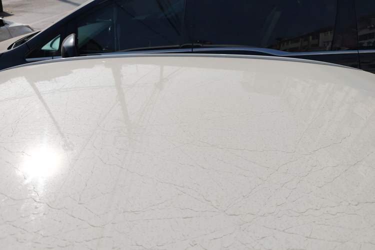 Used Toyota Corolla 2021 1.2T S-CVT Pioneer PLUS Edition
