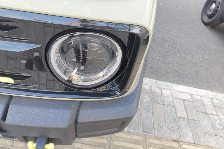 Used  Panda 2024 200km Panda Rider
