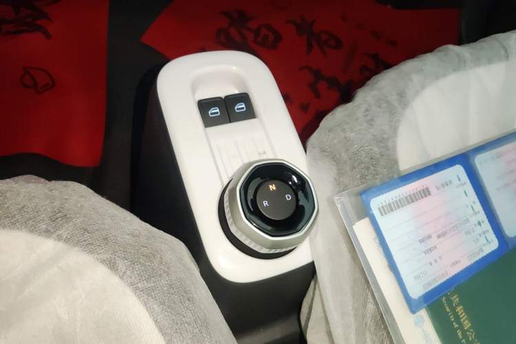 Used  Panda 2025 210 km – Yuanqi Bear
