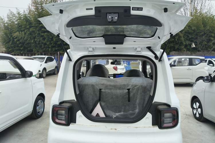 Used  Panda 2024 Panda Mini 200km Endurance Bear