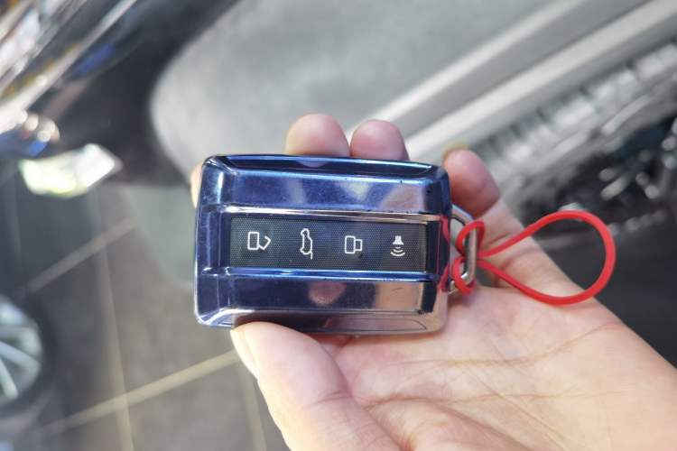 Used Tank 300 2021 Off-Road Edition 2.0T Challenger
