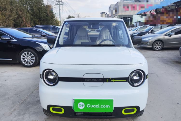 Used  Panda 2025 210 km – Yuanqi Bear
