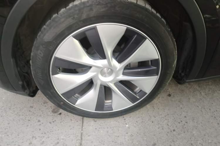 Used Tesla Model Y 2021 Standard Range Rear-Wheel Drive Version
