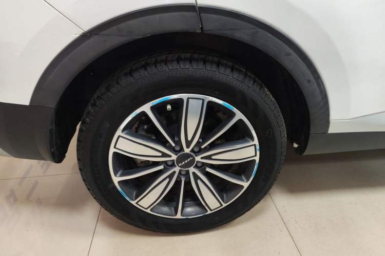 Used Haval H6 2021 1.5T Automatic Champion Edition