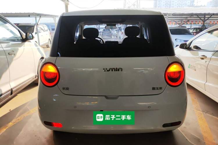 Used  Lumin 2023 205km Xiangqin Version