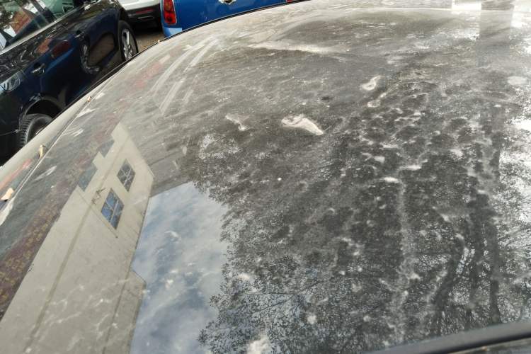 Used Chery Little Ant 2018 400 4-Seater Smart Edition
