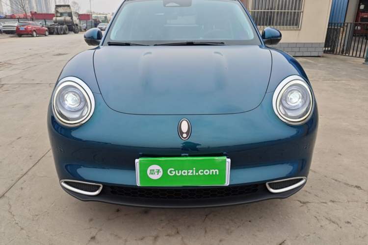 Used ORA Good Cat 2023 401 km Standard Range Luxury Version Ternary Lithium