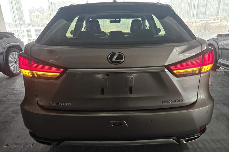 Used Lexus RX 2020 300 Two-Wheel Drive Elite Edition China VI Standard
