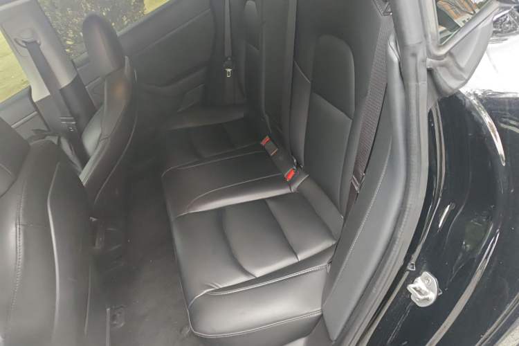 Used Tesla Model 3 2019 Standard Range Rear-Drive Upgraded Version