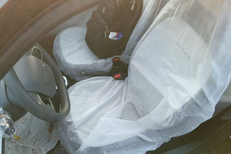 Used  Panda 2025 210km Panda Kart