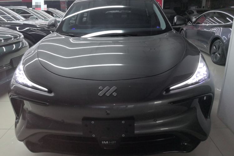 Used  LS6 2023 Max Long-Range Version
