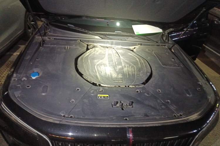 Used Hongqi H9 2022 2.0T Smart Connect Flagship Edition