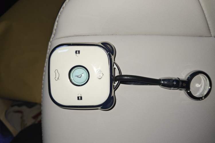 Used Cowin October 2025 Mate 410 km Surfing Edition
