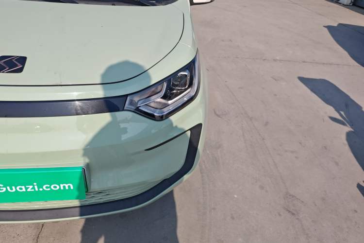 Used SOL E10X 2022 Flower Fairy Design Four-Leaf Clover